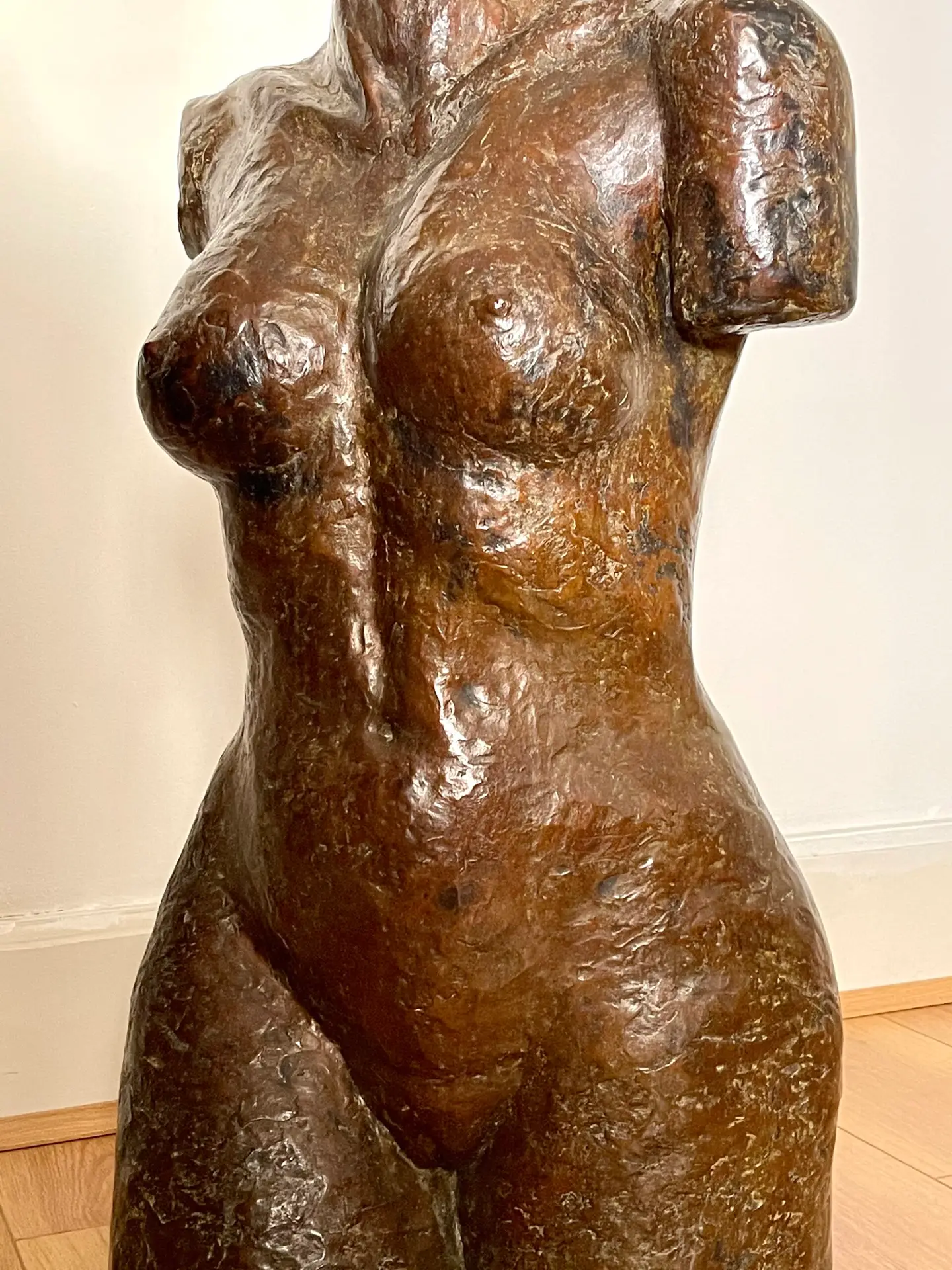 Torso | Expressive Works | Christine Wiersema