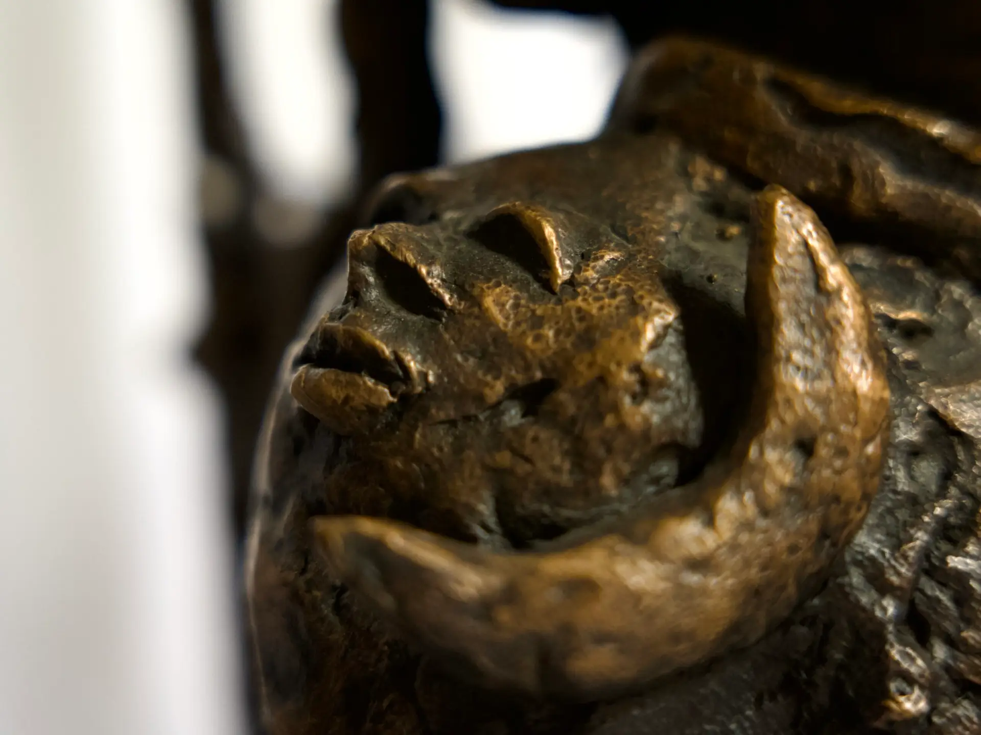 Shoulder Detail | The Chariot | Inner Voice | Christine Wiersema